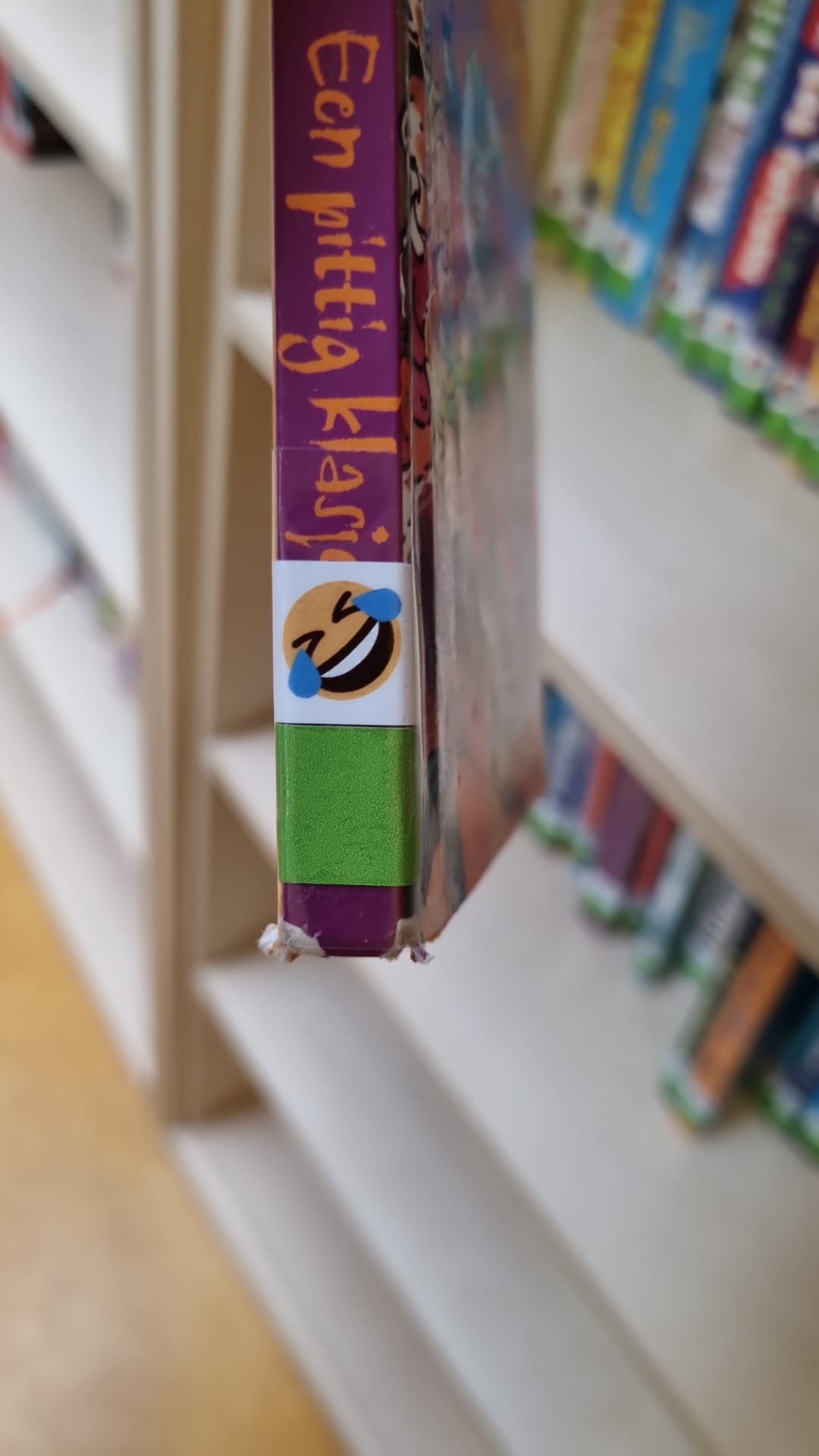 De-schoolbieb-op-orde